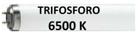 NEON T8 18W 6500K TRIFOSFORO - DRL 1886T