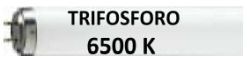NEON T8 58W 6500K TRIFOSFORO - DRL 5886T