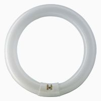 CIRCOLINO 22W 6500K TRIFOSFORO - DRL 2286T