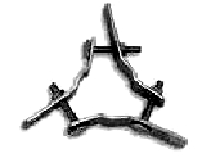 RALLA TRIS D.25 Z/E M6 - FIA RAL0001