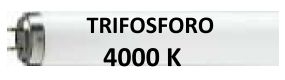 NEON T8 58W 4000K TRIFOSFORO - DRL 5884T