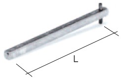 ASTA RINVIO L.185 CMT - GNV 20401089