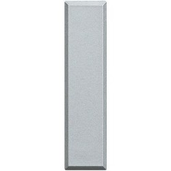 AXOLUTE - TASTO FALSO POLO MEZZO MODULO CHIARO - BTI HC4949
