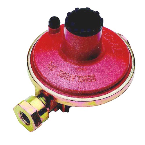 REGOLATORE BASSA PRESSIONE 10KG/H 30 MBAR - DIA 421F300