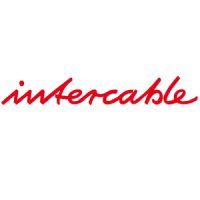 KIT SALDATRICE INVERTER EW140-MINI - INR AO2100