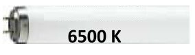 NEON T8 36W X MACELLERIA 0001811 - SYL F36T8/175