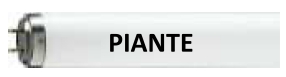 NEON T8 36W X PIANTE 0001524 - SYL F36T8GRO