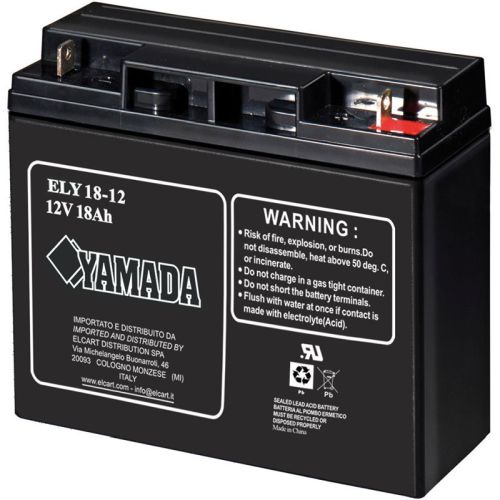 BATTERIA 12V 18AH AL PIOMBO - ERT 300612000