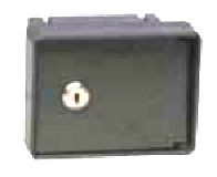 SELETTORE PER SERRANDA INCASSO 1 POSTO MAGIC+DOPPIO PULSANTE - ZIN 2056M