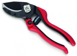 FORBICE VIGNA EVO6 CM20 - AUS 31086