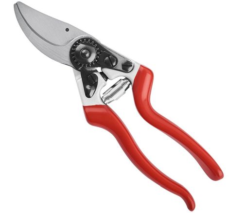 FORBICE VIGNA 21CM PROFESSIONALE - AUS 31036