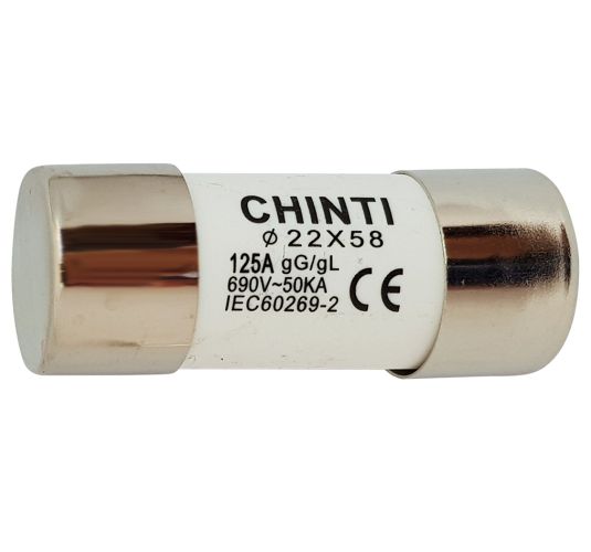 WS18-125/125GG - FUSIBILE 125A TIPO GG 22X5 - CHT 80641